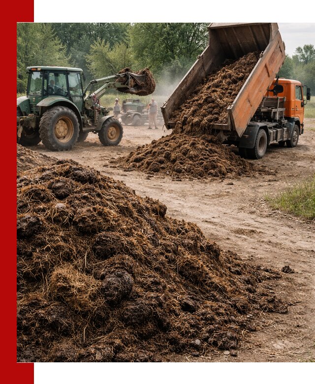 Доставка навоза самосвалами в Белгороде для сельхозпотребностей